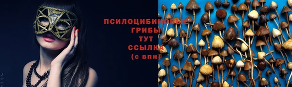 соль ск Арсеньев