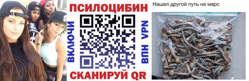 сколько стоит  Нарткала  Псилоцибиновые грибы Cubensis 