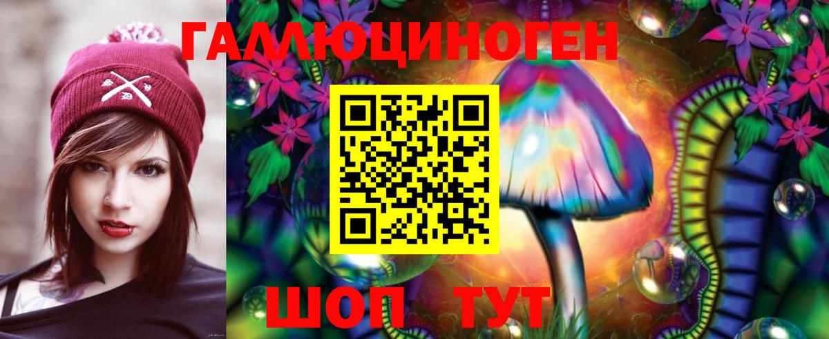 Галлюциногенные грибы GOLDEN TEACHER Нарткала